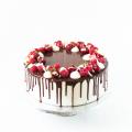 Flourless chocolate and raspberry cake